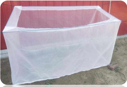 Team supporting farmers